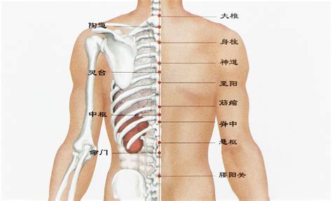 背上很多痣|背部有痣图解大全 背部有痣的人看命运